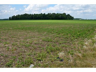 Property photo 1 - LAND AUCTION - 700+/- ACRES OFFERED IN 16 TRACTS IN ALLEN COUNTY, INDIANA